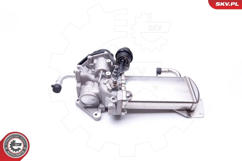 EGR Valve